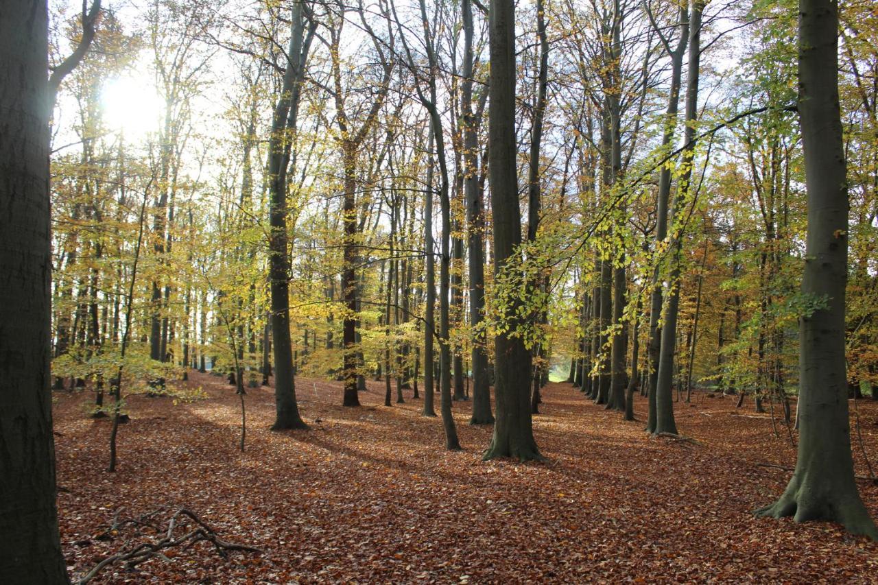 Ferienhaus Auf Gut Sautmannshausen Haselünne Dış mekan fotoğraf